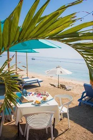 уютно и просторно студио * Равда