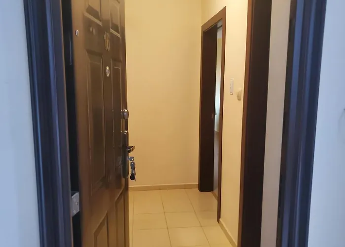 Апартамент уютно и просторно студио